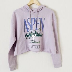 NWOT Aspen Colorado Graphic Hoodie